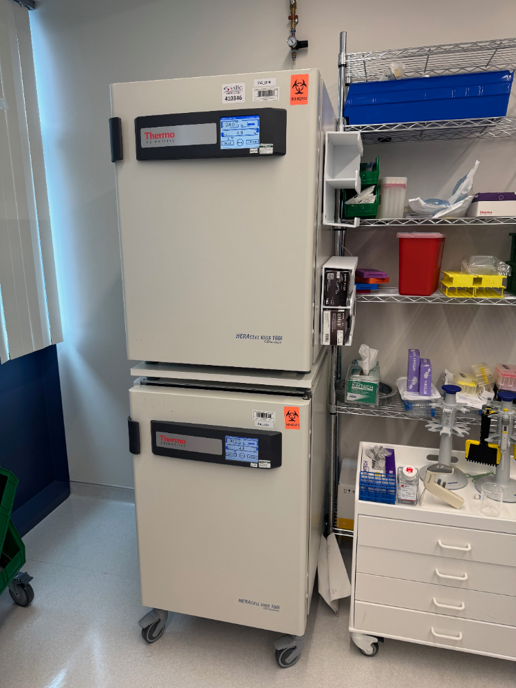 Image of Thermo HERAcell Vios 160i Double Stack CO2 Incubator